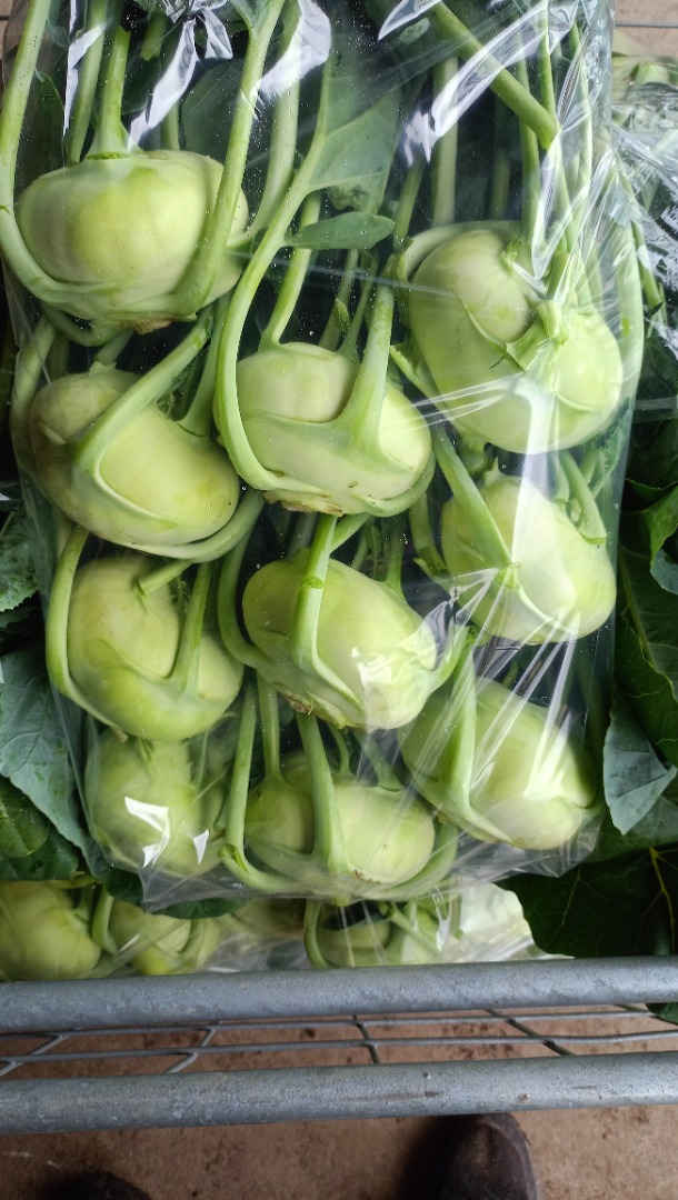 Colirrábano para mercado fresco con una hoja bonita
