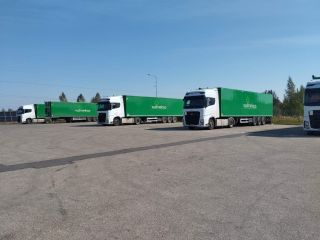Compraré trigo alimenticio, a granel, con un contenido de