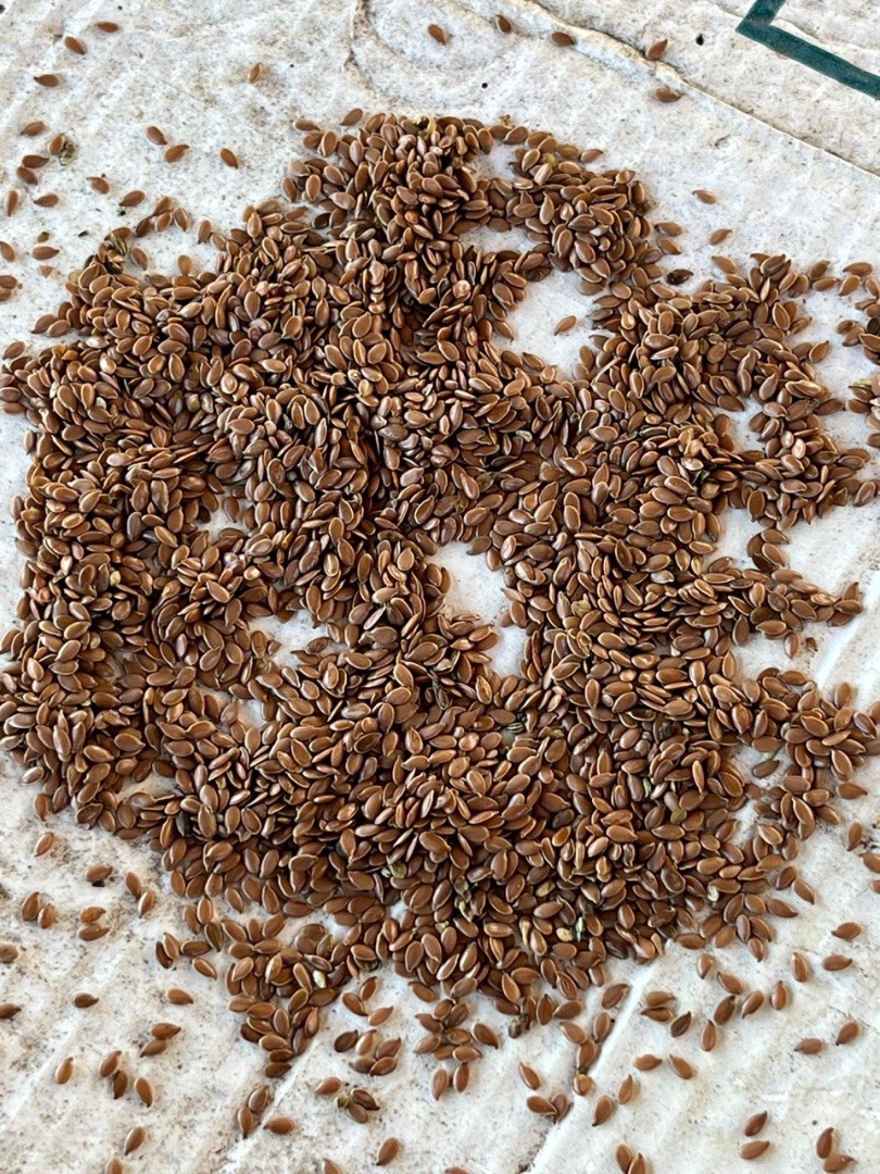 Linaza marrón Lino marrón, oleoso Humedad: 6,4% Contaminación: 1,8% Precio: 2.450 PLN por big-bag (1 tonelada) Ubicación: Małaszewicze Entrega: Calculado