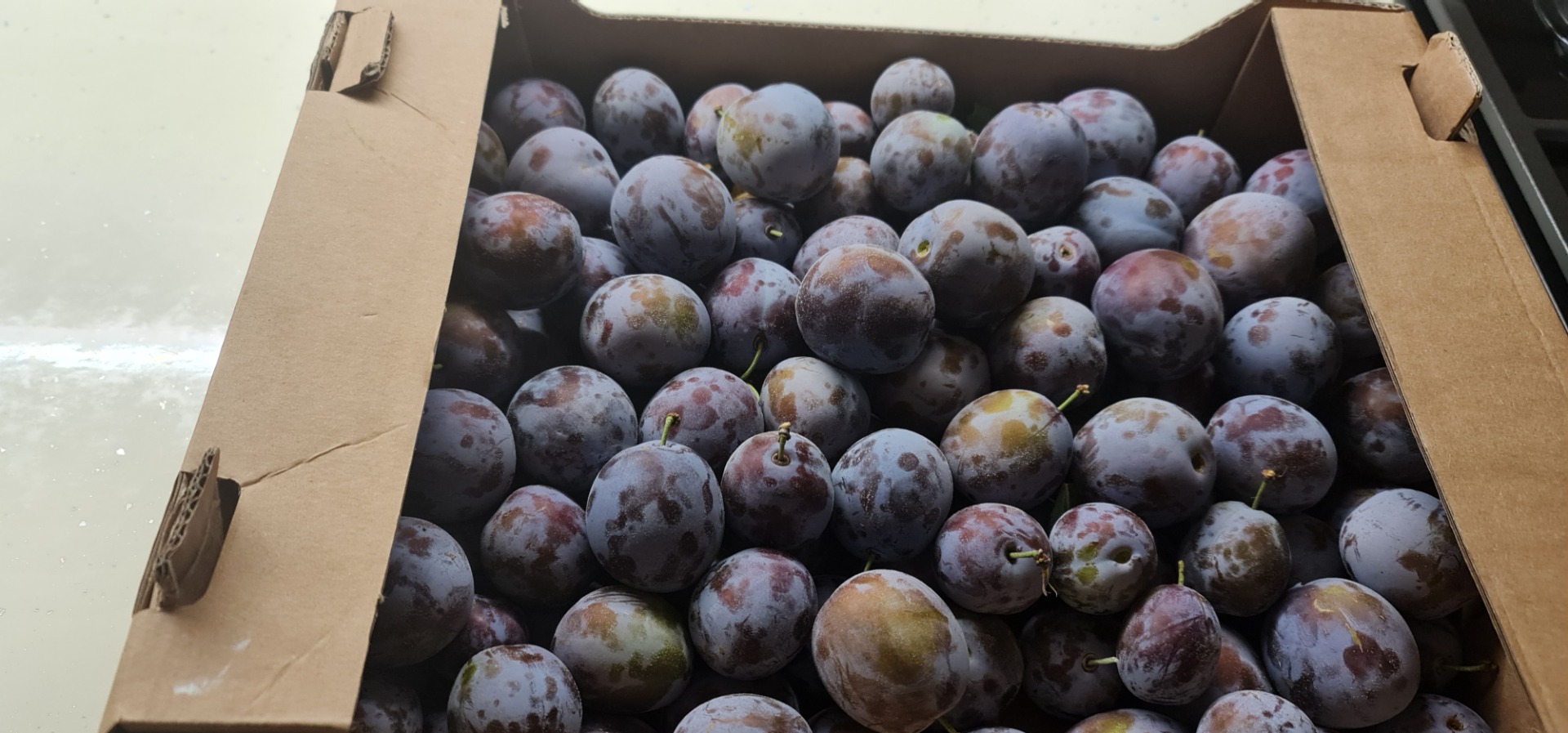 Ciruelas tipo "Elena" para brandy 0,6 euros/kg Ciruelas para consumo 0,7 euros/kg Cantidades 50-100 toneladas Brix 18-20