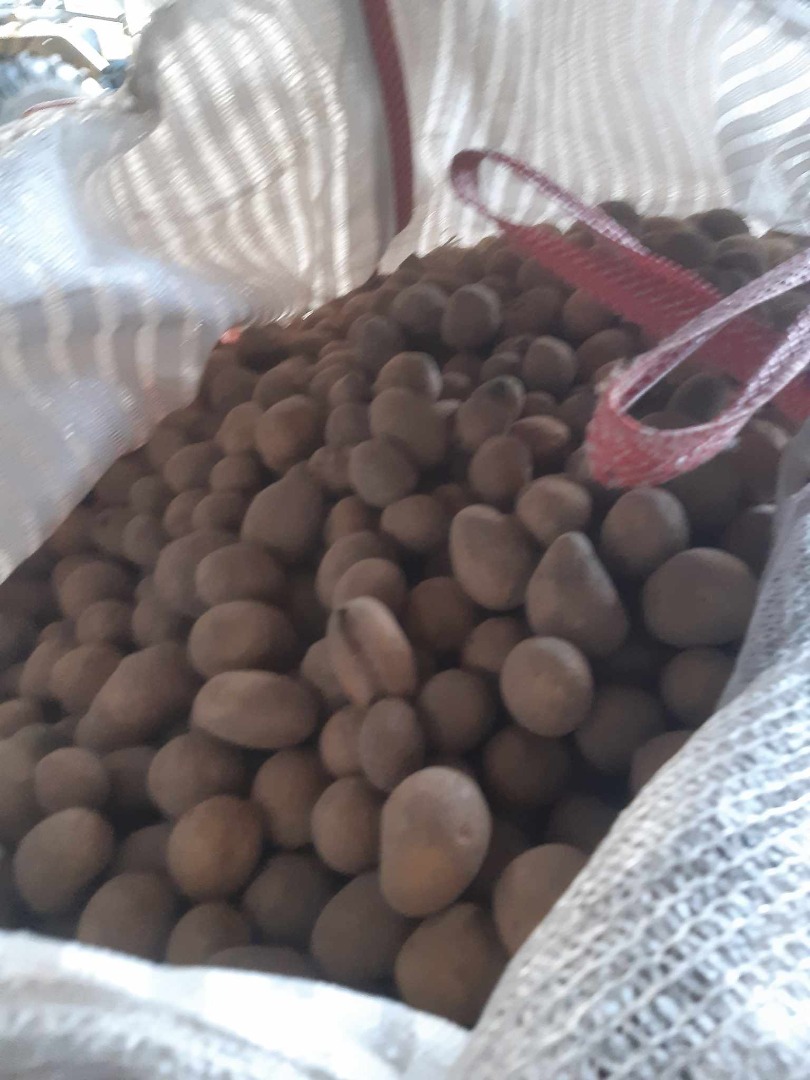 Buenos días, vendo patatas forrajeras de desecho