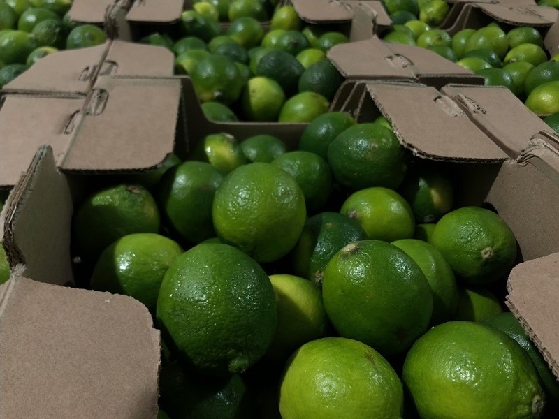 Se vende LIMA VERDE