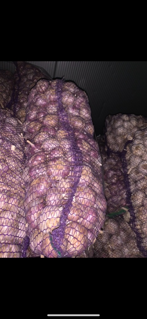 Se vende ajo 1.800 kg