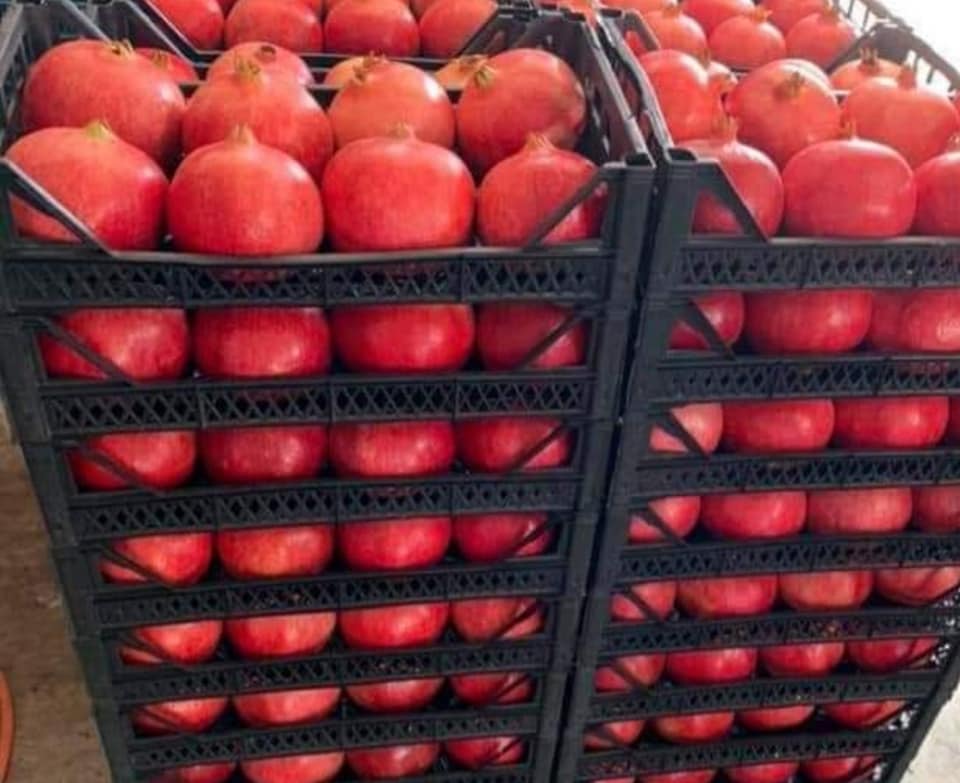 Ofrecemos vender granadas