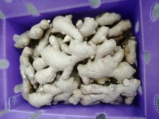 Venta de rizoma de jengibre fresco. Posibilidad de venta