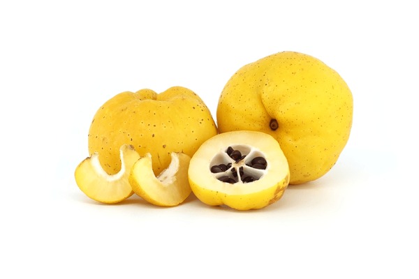 ZUMO DE MEMBRILLO BARRIL 200 L (210 KG) Zumo natural NFC (no concentrado), ligeramente turbio, exprimido a partir de membrillo japonés de nuestra propia