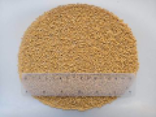 Semillas de mostaza blanca (Brassica Juncea) Humedad: 9,2% Pureza: