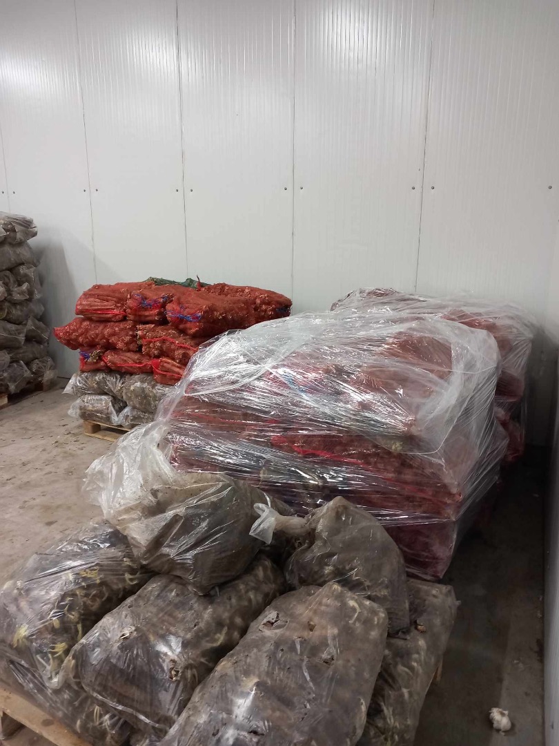 Vendo raíz de rábano picante en grandes cantidades
