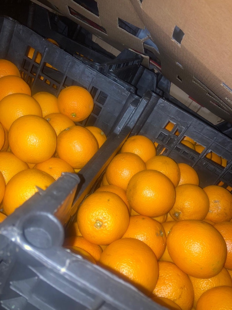 NARANJA VALENCIA Origen: Egipto Calidad: 1B Calibre: 100 Confeccionado: granel Formato: Plastico 15kg Certificados: Global GAP **PRECIO SALIDA (EXW)** 0,78