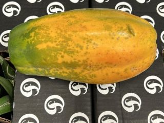 PAPAYA - BY AIR Origen: Colombia Calidad: Premium Calibre: