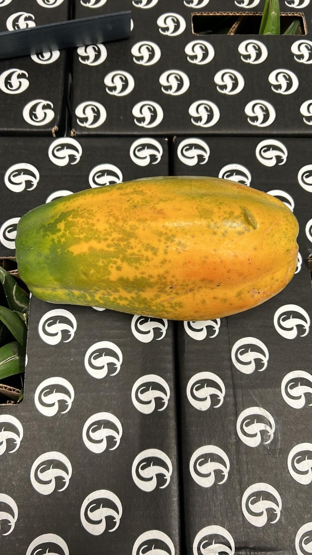 PAPAYA - BY AIR Origen: Colombia Calidad: Premium Calibre: 3/4 Confeccionado: Encajado Formato: Cartón 4.5kg Certificados: Global GAP & ECO **PRECIO SALIDA