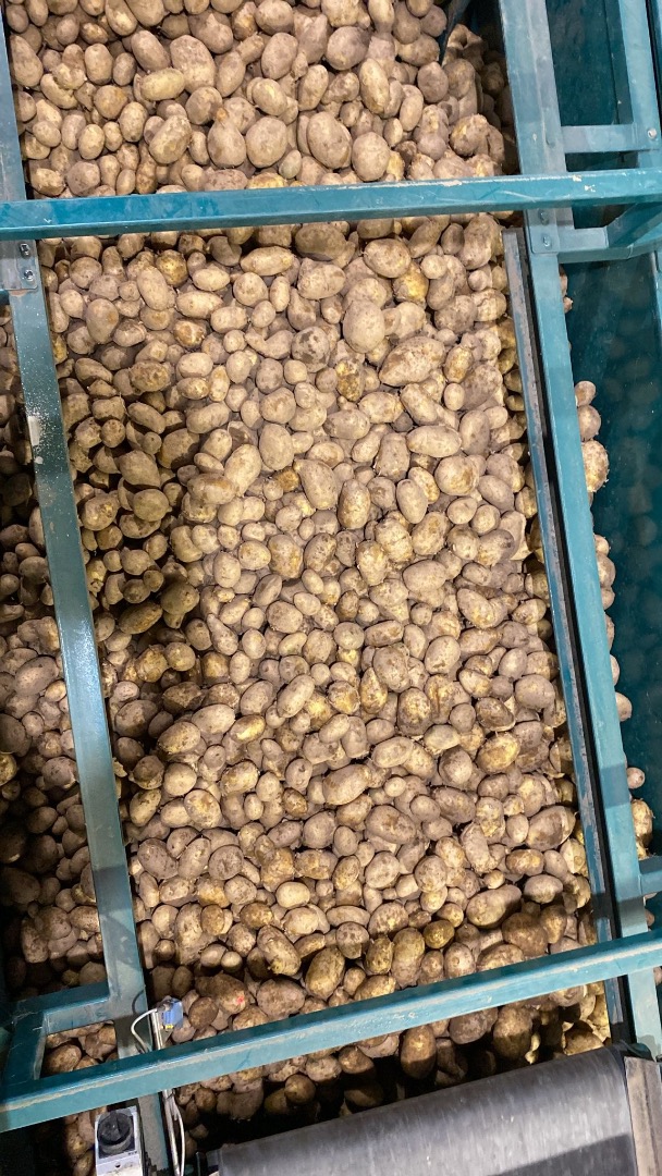 PATATA PARA FREIR Origen: España Calidad: 1B Calibre: +45 Confeccionado: granel Formato: Big Bag Certificados: —X— **PRECIO SALIDA (EXW)** 0,55 €/kg —