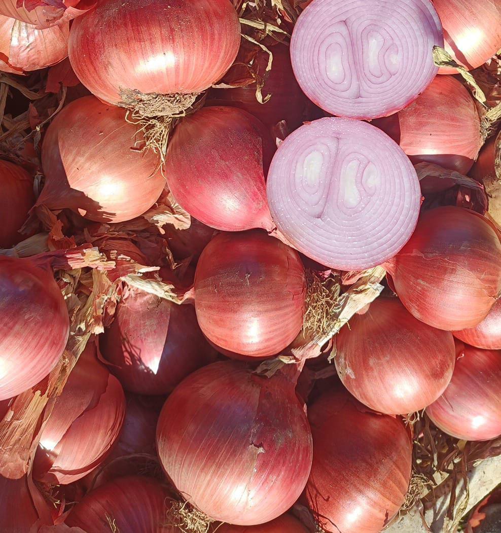 CEBOLLA MORADA Origen: Marruecos Calidad: CAT I Calibre: +40 Confeccionado: granel Formato: Big Bag - Jumbos Certificados: —X— **PRECIO SALIDA (EXW)** 0,48