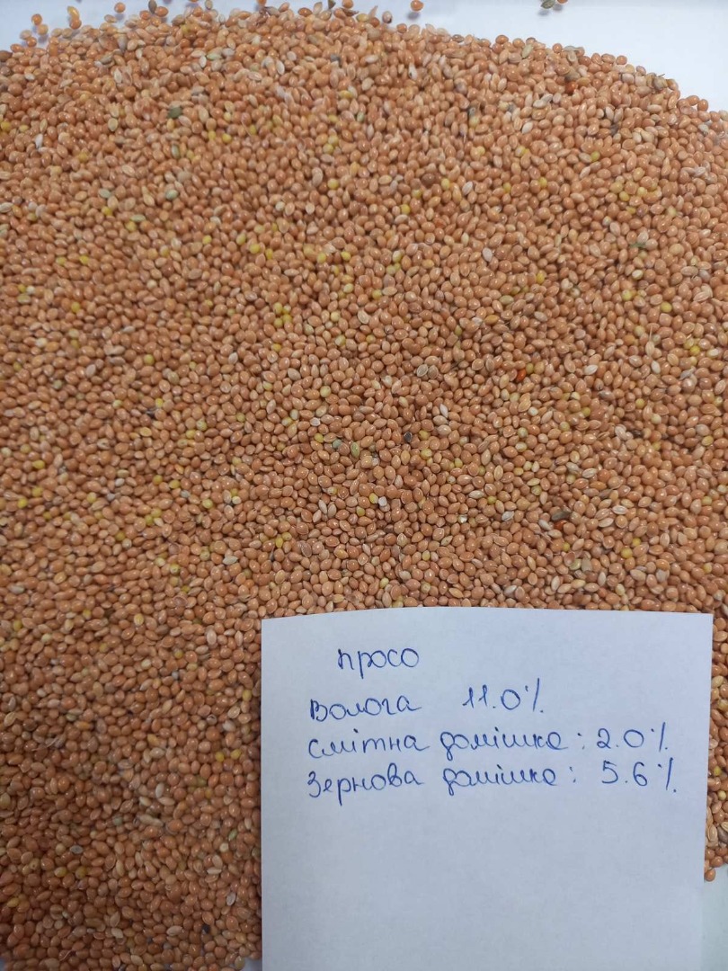 Vendo Millet Amarillo/Rojo/Blanco/Negro DAP