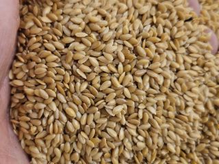 Marrón lino/oro Pureza 99,9% Pureza 97%