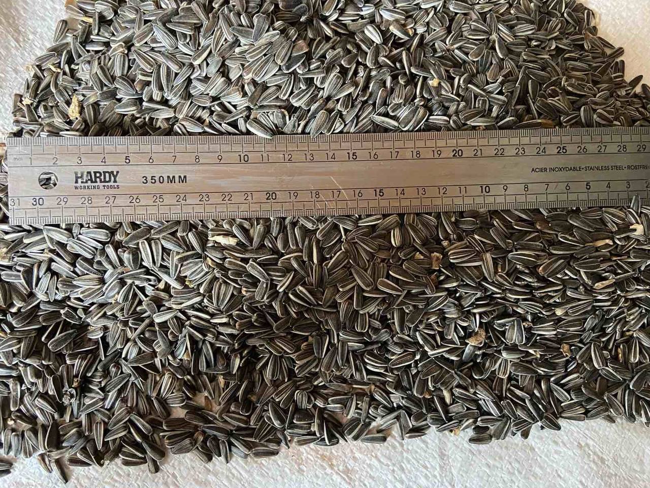 Disponemos de 250 toneladas de semillas de girasol de la variedad BADGER (podemos aumentar la cantidad a 450 toneladas) Origen: Moldavia Cosecha 2024 Puede