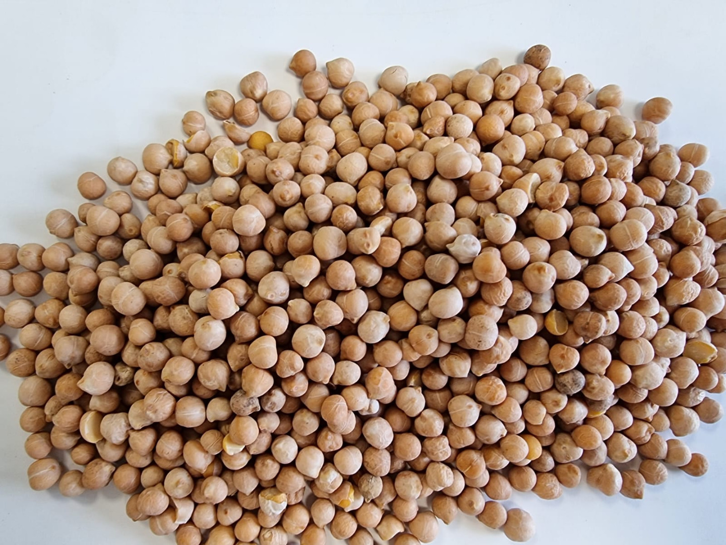 Tenemos garbanzos a la venta, por favor contáctame [número de teléfono]