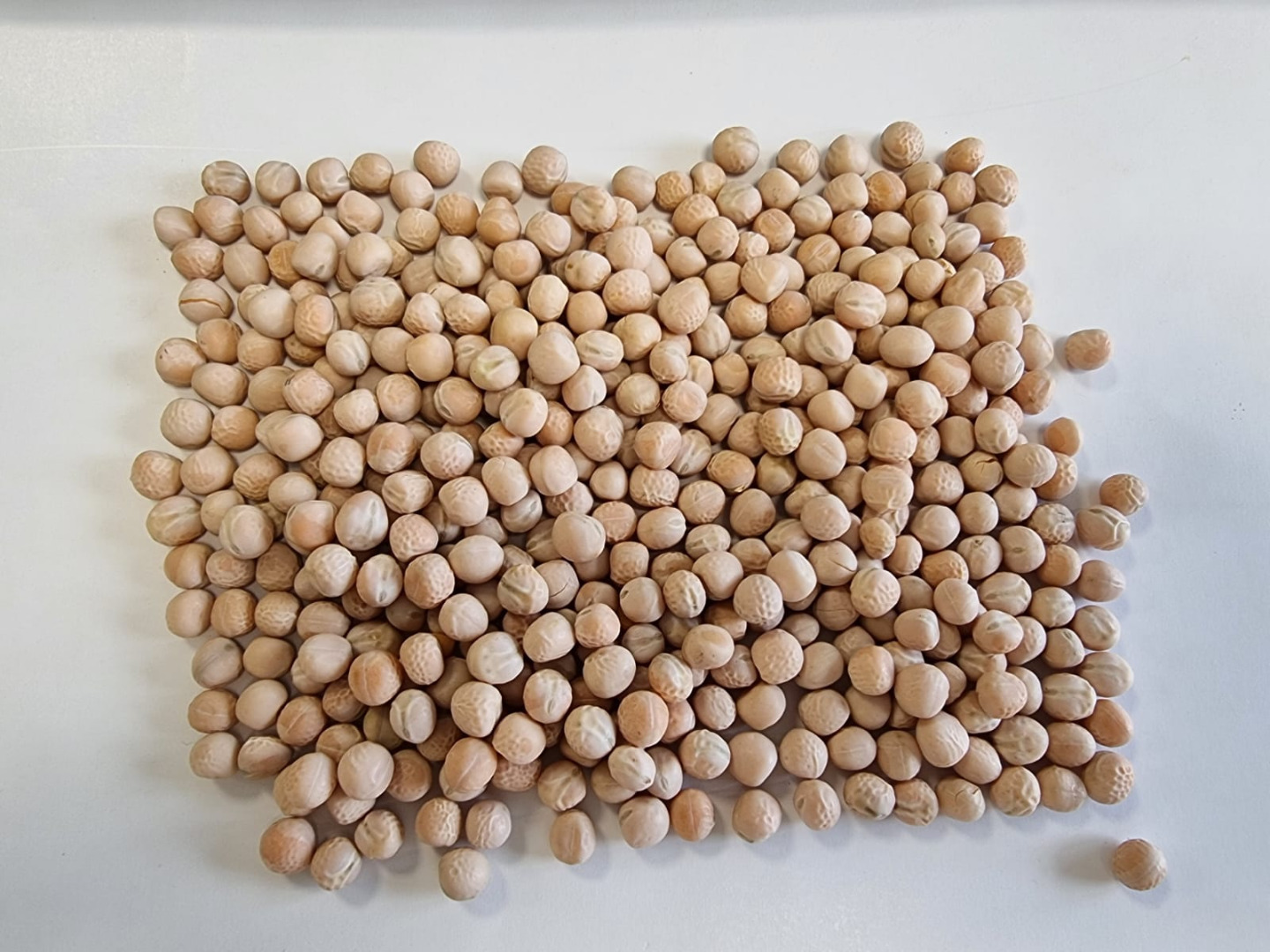 Tenemos guisantes amarillos a la venta