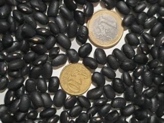 Frigoles negro Puresa- 99%, humidad-14%, 480 un/100g