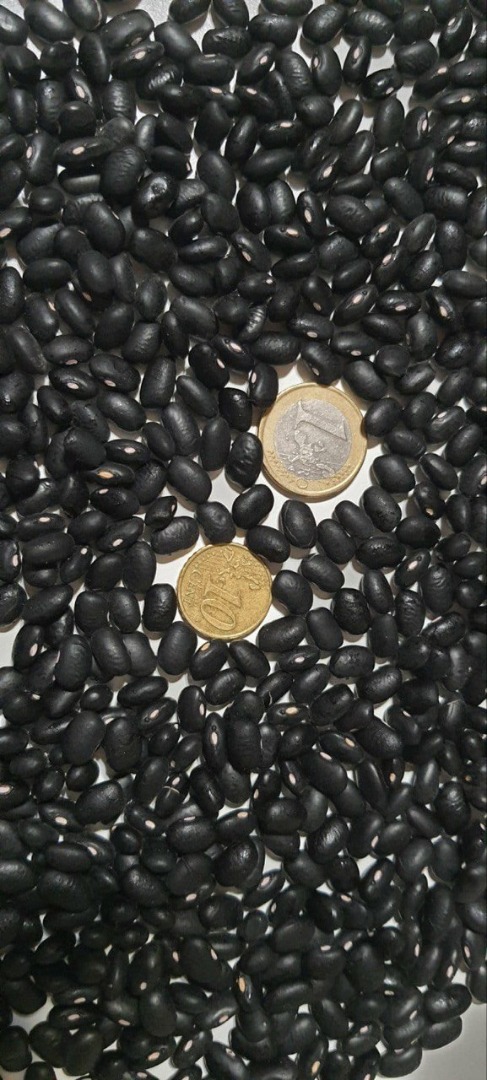 Frigoles negro Puresa- 99%, humidad-14%, 480 un/100g