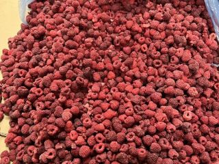 Te ofrecemos la venta de frambuesas congeladas 80/20. Frambuesa