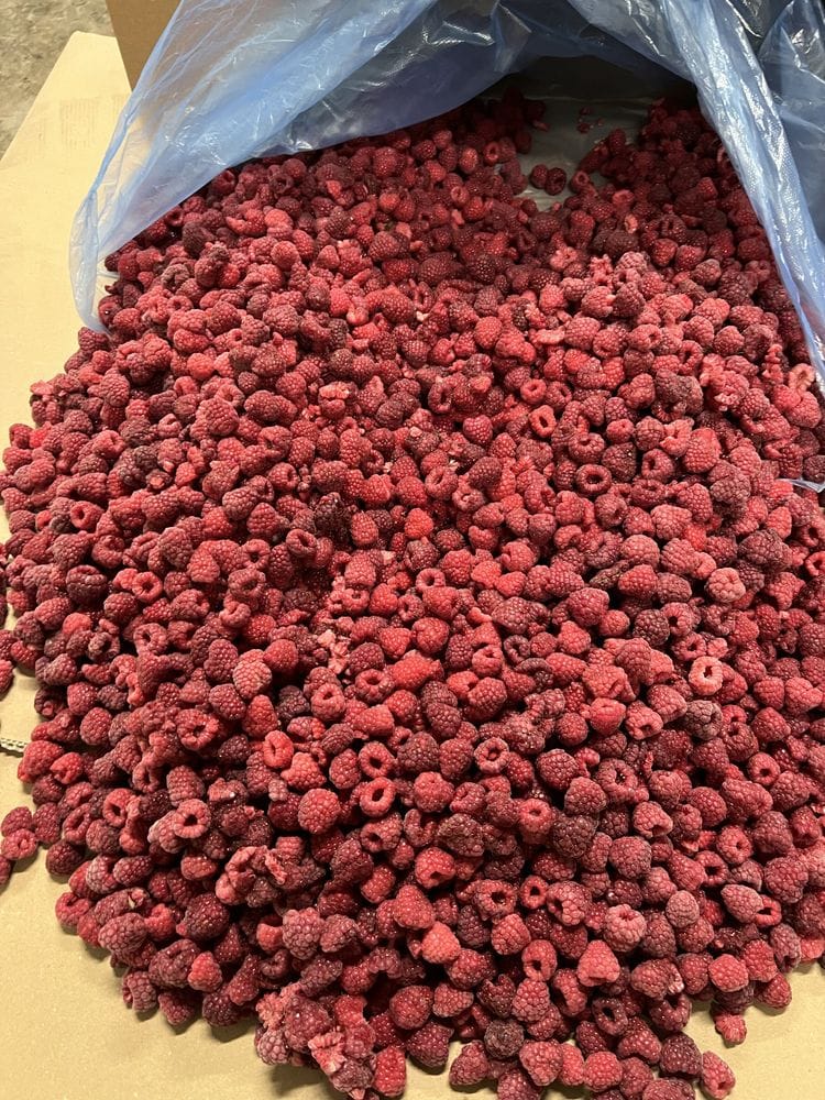 Te ofrecemos la venta de frambuesas congeladas 80/20