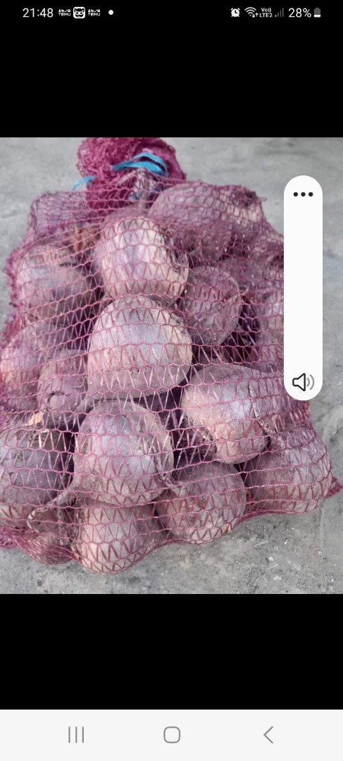 Venderé remolacha en camiones y en cantidades más pequeñas