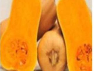 Calabaza Matilda, excelente para cualquier repostería.