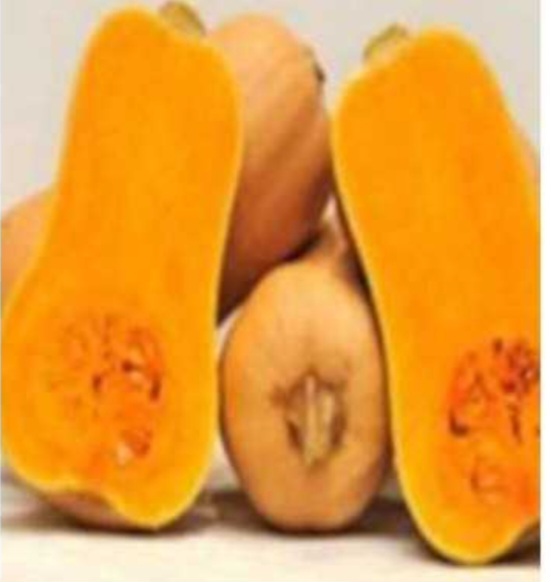 Calabaza Matilda, excelente para cualquier repostería