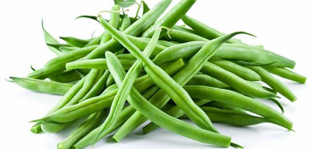 Buscamos compradores para judías verdes frescas y productos agrícolas de Senegal: exportación a Europa ¿Está buscando judías verdes frescas de alta calidad y