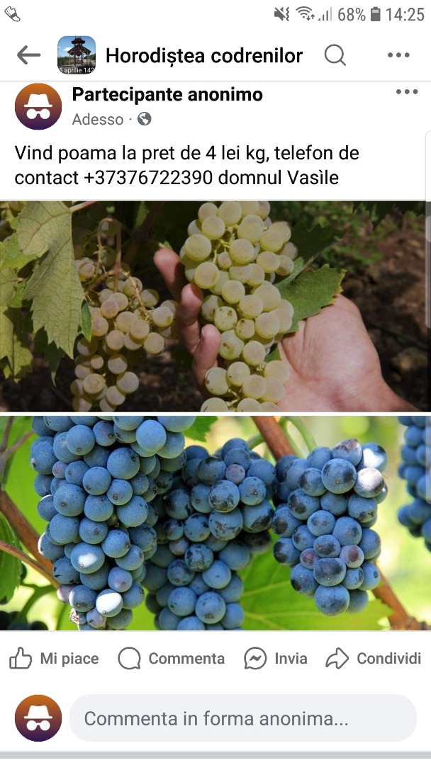 Vendo manzanas blancas y negras