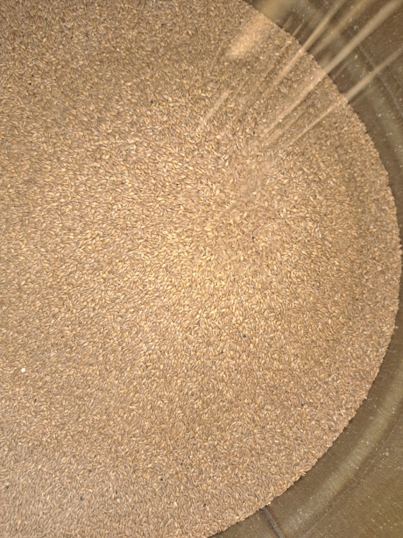EINKORN, CERTIFICADO BIOLÓGICO