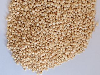Vendo sorgo blanco. 1000 toneladas. Contrato de cambio de