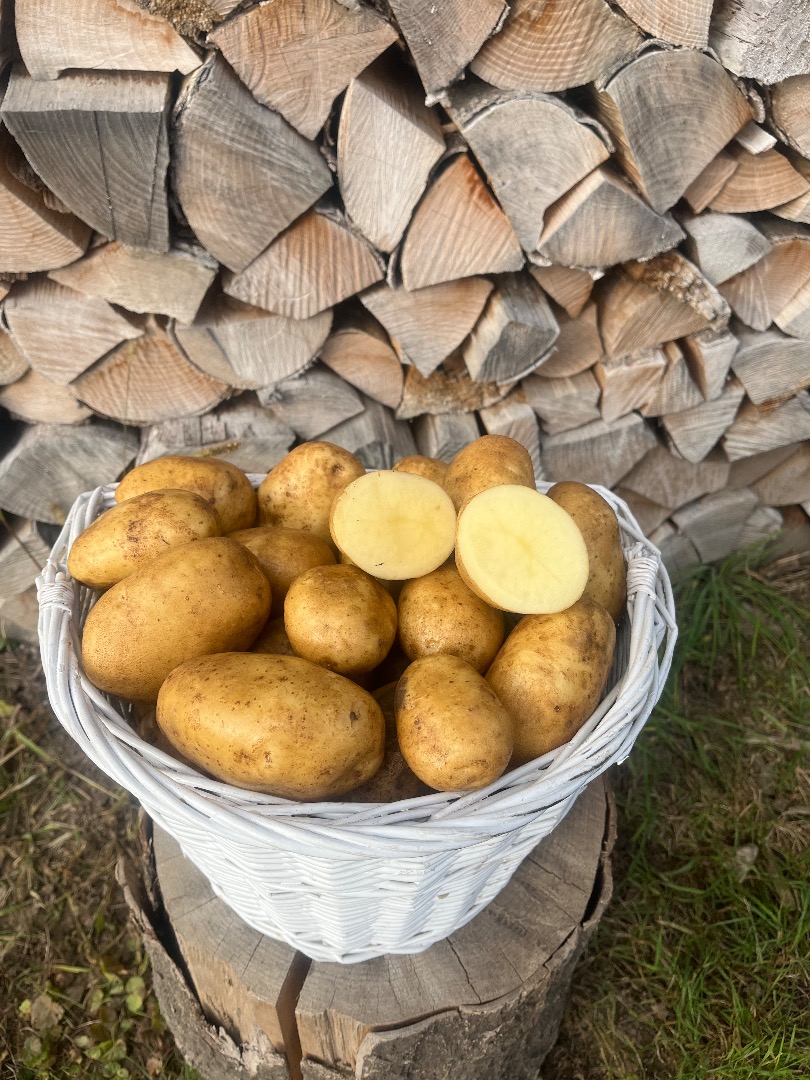 Venderé patatas