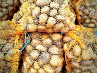 Venderé patatas Denar clasificadas, envasadas en sacos de 15