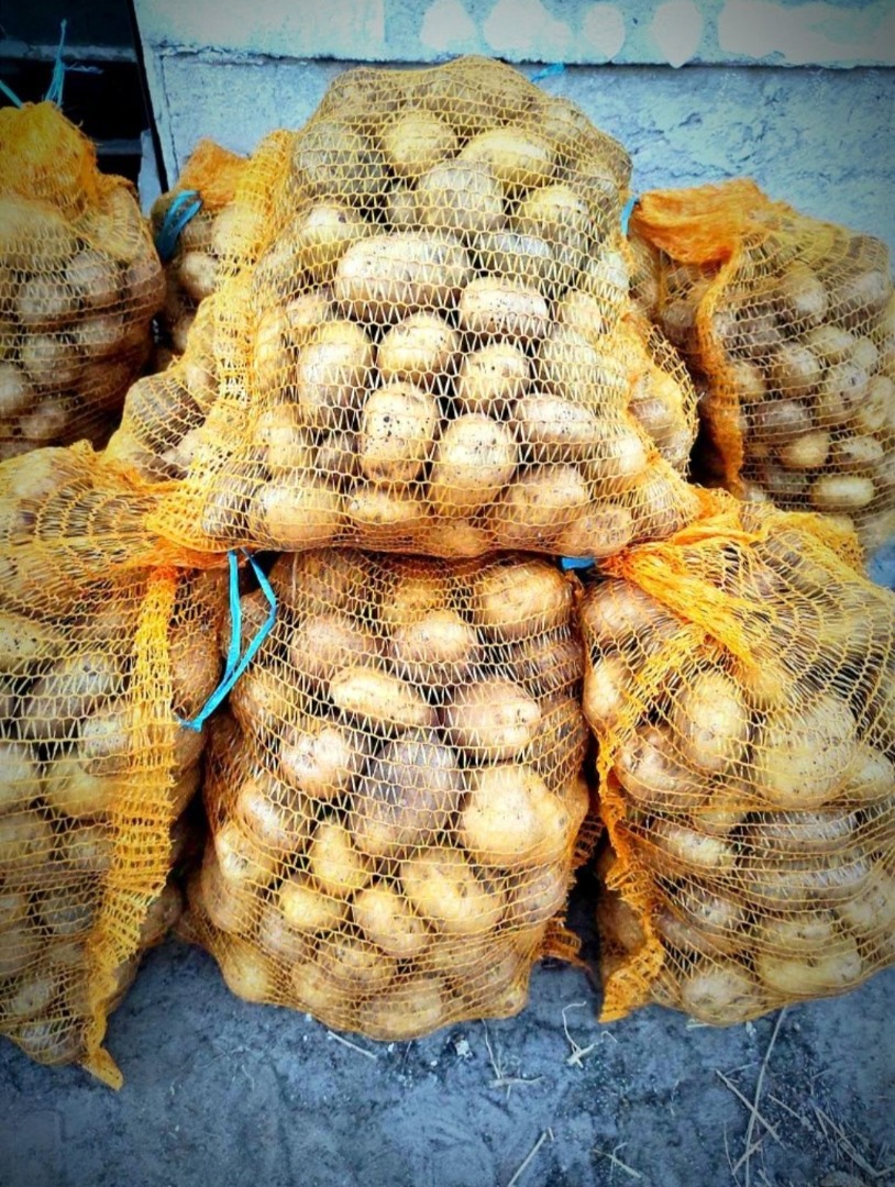 Venderé patatas Denar clasificadas, envasadas en sacos de 15 kg, precio 2 PLN/kg A partir de 100 kg, precio 1,80 PLN/kg Patatas de cosecha propia sin