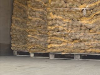 ¡Compro patatas, cebollas y zanahorias en grandes cantidades de