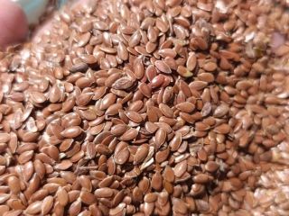 Vendo lino marrón de Rusia a 2360 PLN/tonelada neta,
