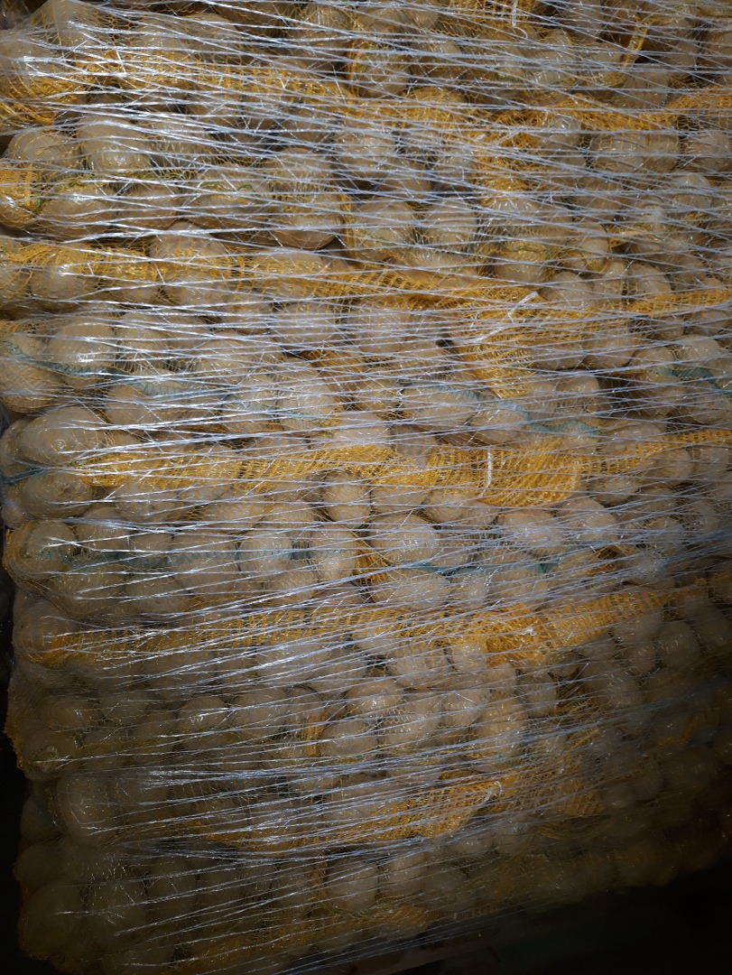 patatas comestibles magnolia 5+ cosidas bolsa 10 kg