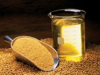Vendemos aceite de soja crudo y sin refinar. 25t