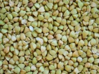 Trigo sarraceno desgranado ecológico de muy alta calidad, cosecha
