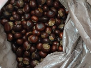 Venderé castañas de unos 100 kg por 80 céntimos,