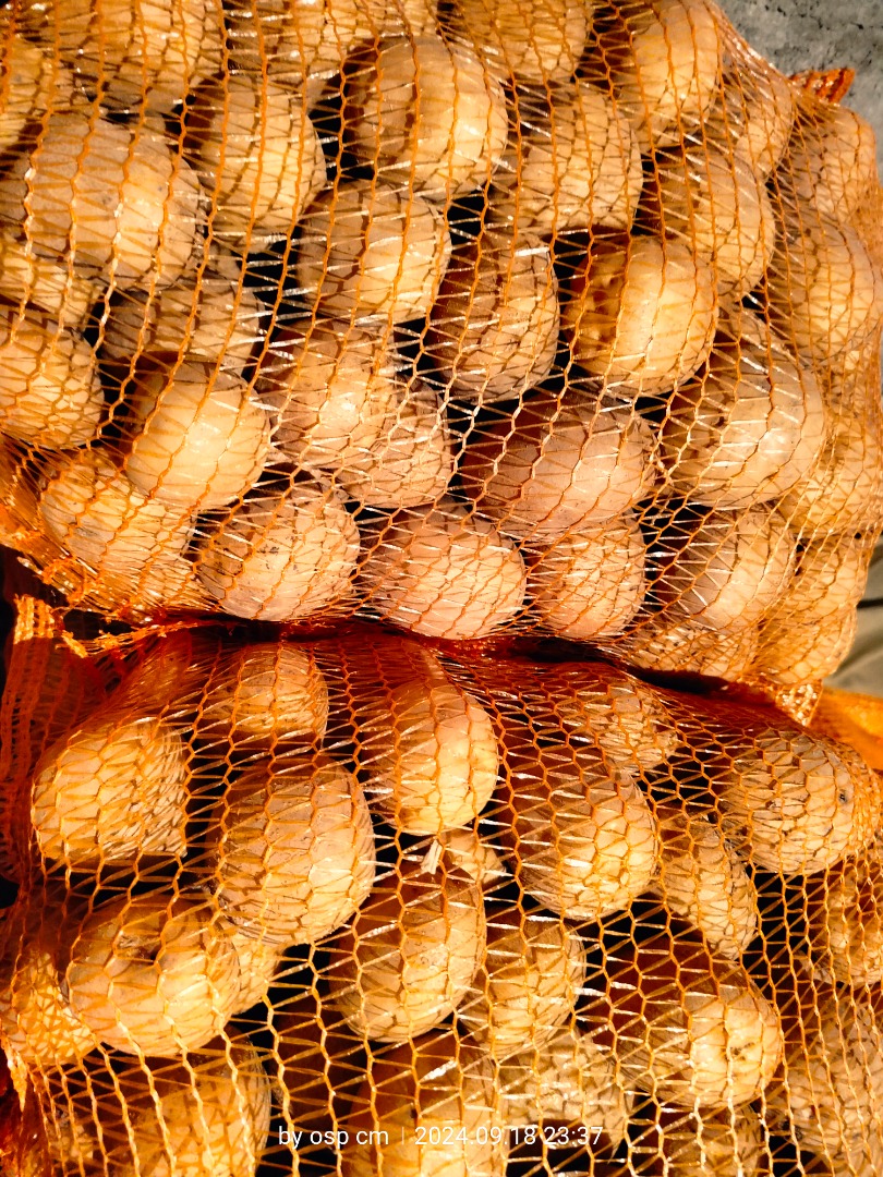 Venderé 3 variedades de patatas comestibles: Wineta 2,5 PLN 1 kg - Michalina 2,5 PLN 1 kg - Rojo Cardenal amarillo por dentro/3 PLN/1 kg Envasadas en bolsas de