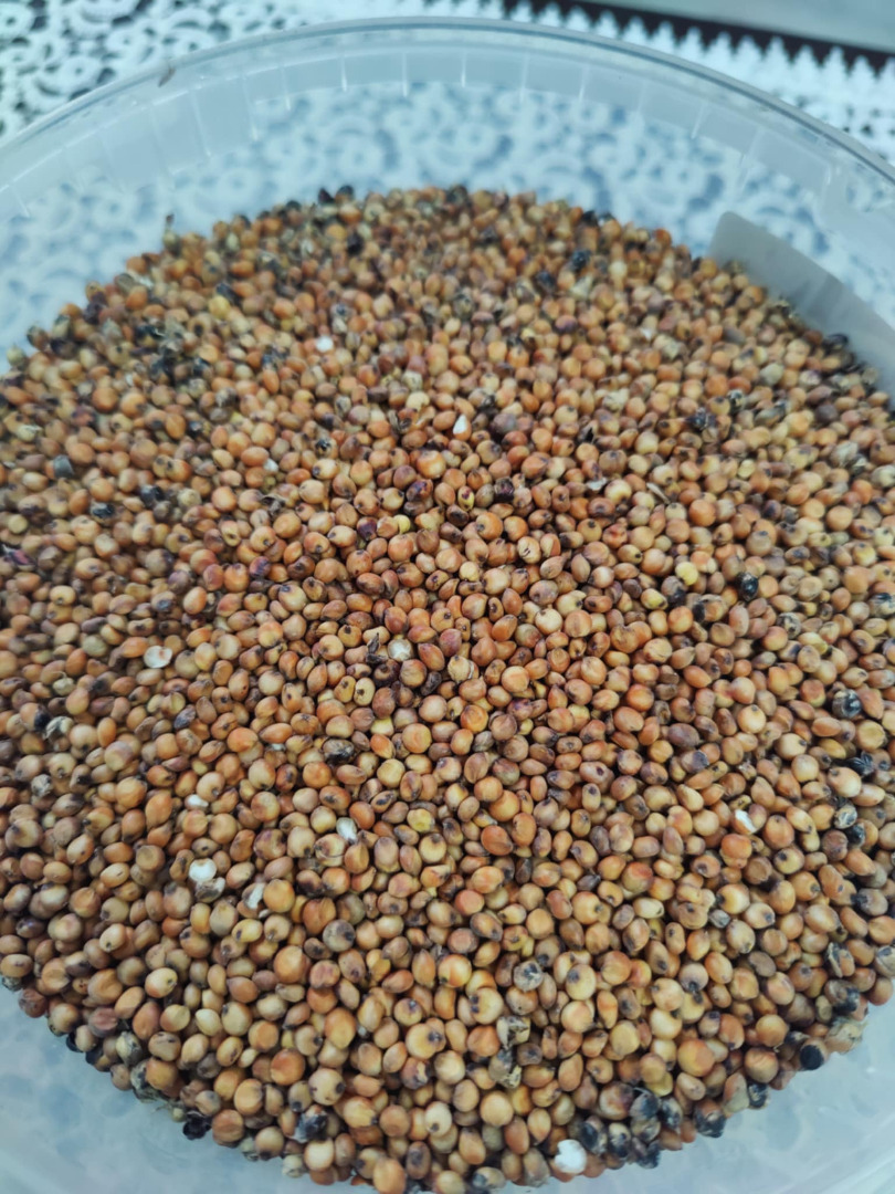 Hola, tengo a la venta sorgo rojo de la variedad RAGT Belluga