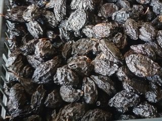 Vendo 10 toneladas de ciruelas secas y 2 toneladas