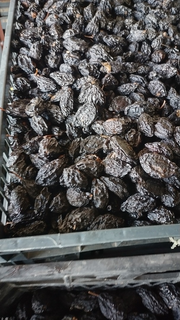 Vendo 10 toneladas de ciruelas secas y 2 toneladas de peras secas