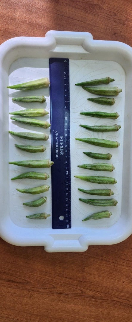 Ofrecemos okra fresco o congelado