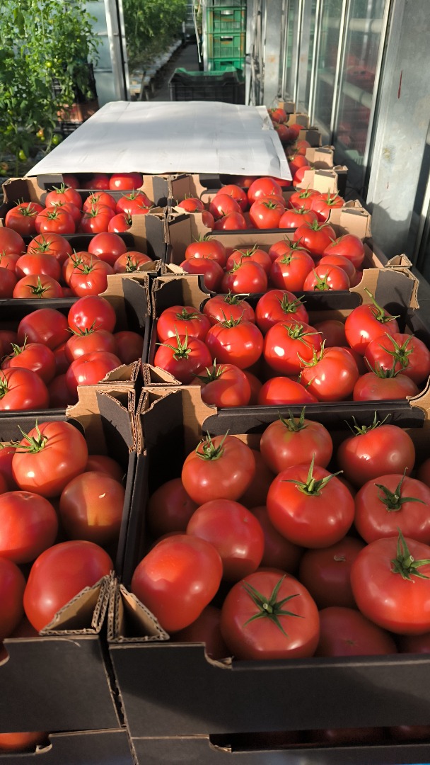 Establecerá cooperación con tiendas/catering y mayoristas para el suministro de productos polacos (generalmente tomates, frambuesas, pepinos de invernadero)