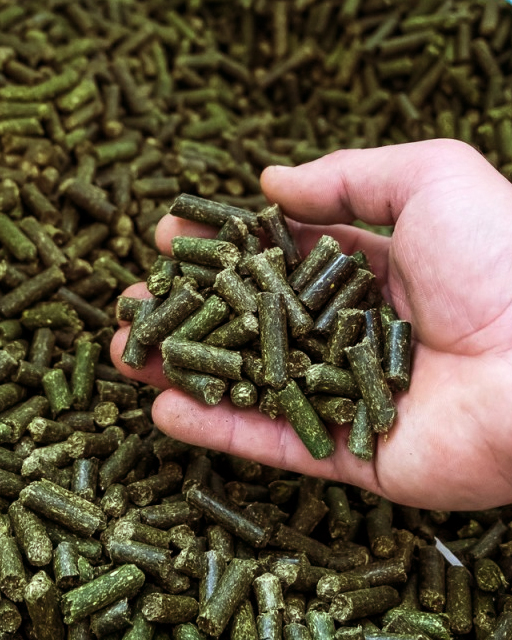 Alfalfa granulada – ¡Alta calidad, disponible de inmediato! Ofrecemos alfalfa granulada de alta calidad con los siguientes parámetros: Humedad: 9,9% Contenido