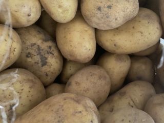 Patatas de la variedad Ellio. Embalaje: 25 kilos. El
